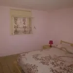 Il Gelso Bianco *